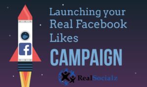 Real-Facebook-Likes-Campaign Real Facebook likes campaign